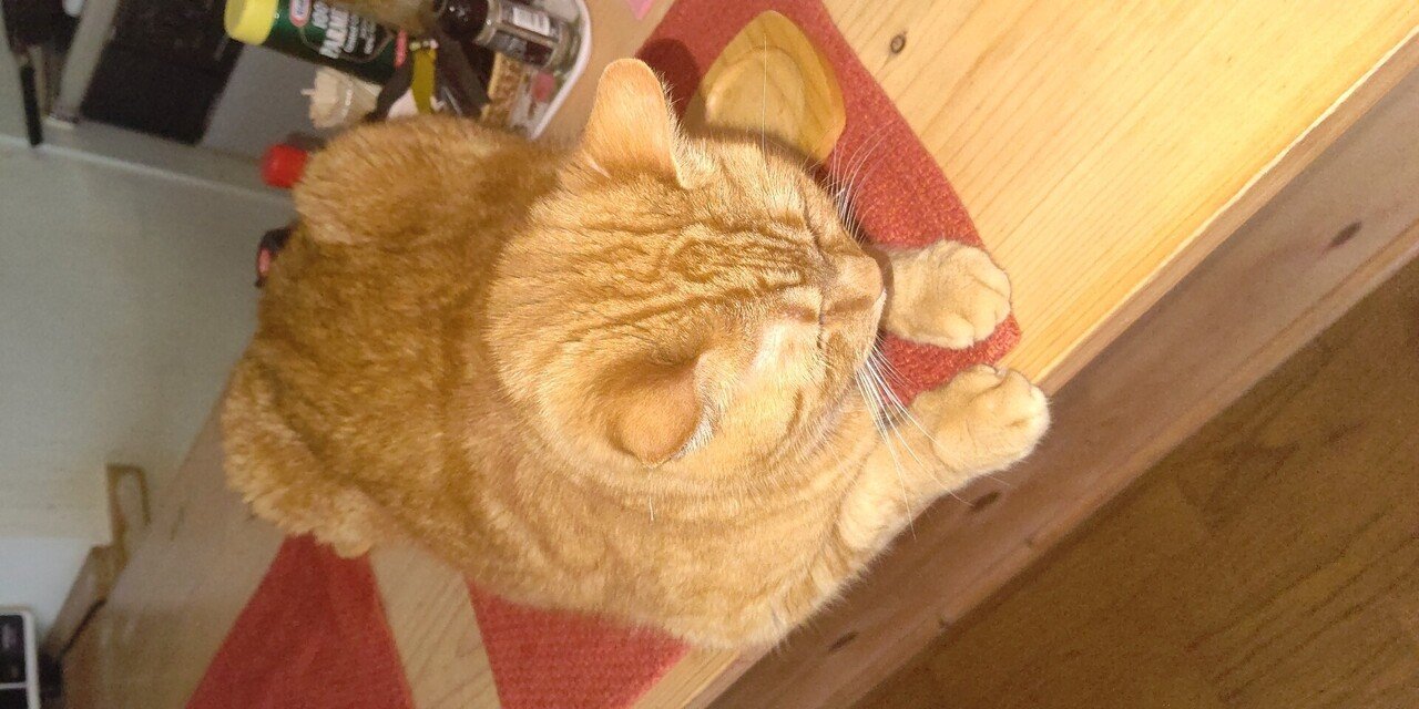 僕は猫である 名前はちゃーちゃんだ Vol 3 姫崎ゆー Note