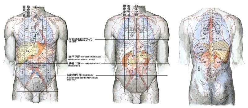 【徹底的国試対策】5-1 泌尿器系 - 腎臓.008