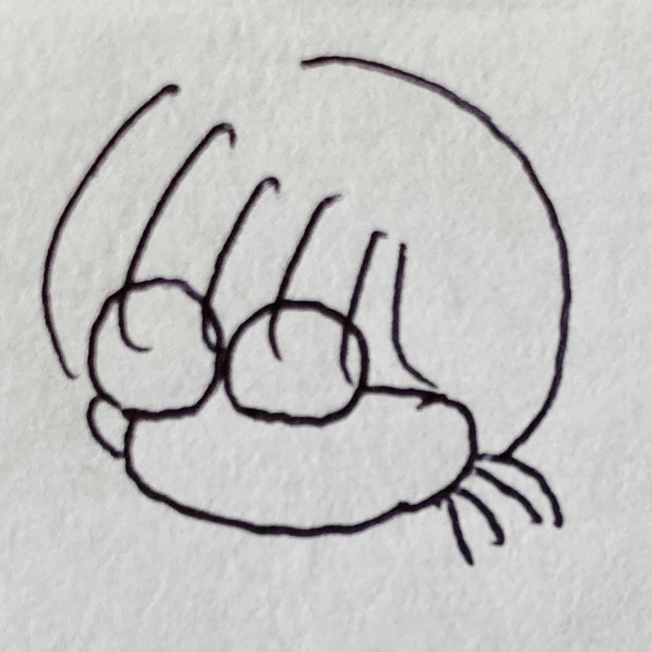 オモコロ ふーこ Note オモコロ ふーこ Note
