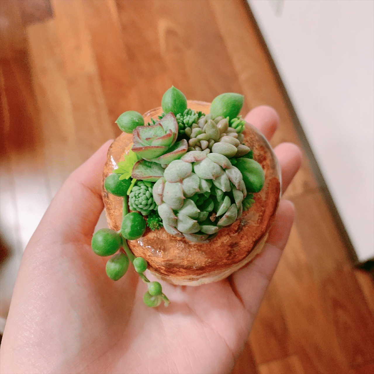 スイーツモルタル鉢作り｜ぴも