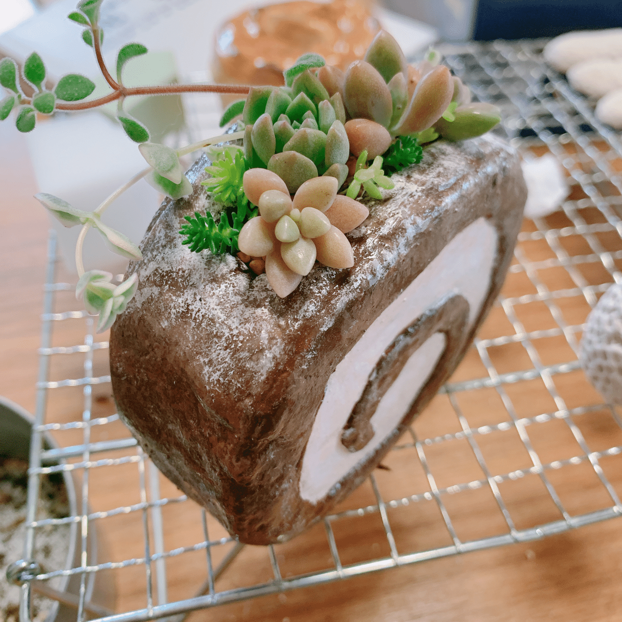 スイーツモルタル鉢作り｜ぴも