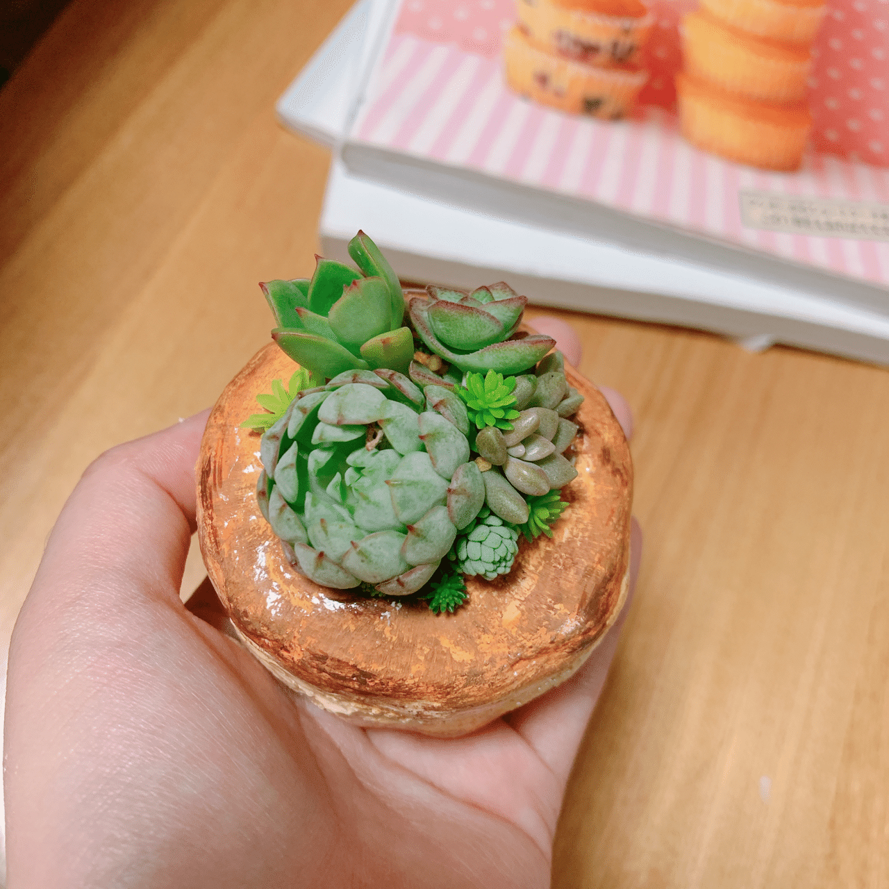 スイーツモルタル鉢作り｜ぴも