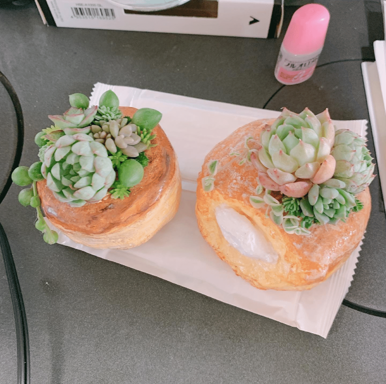 スイーツモルタル鉢作り｜ぴも