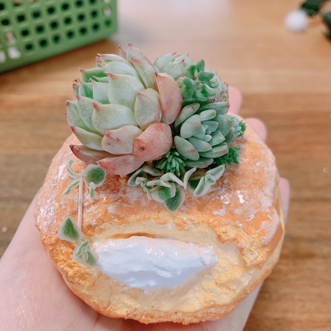 多肉植物用 モルタルパン鉢 スイーツ鉢 作家さん作品 多肉植物用 モルタルパン鉢 スイーツ鉢 作家さん作品 DIY】モルタルde