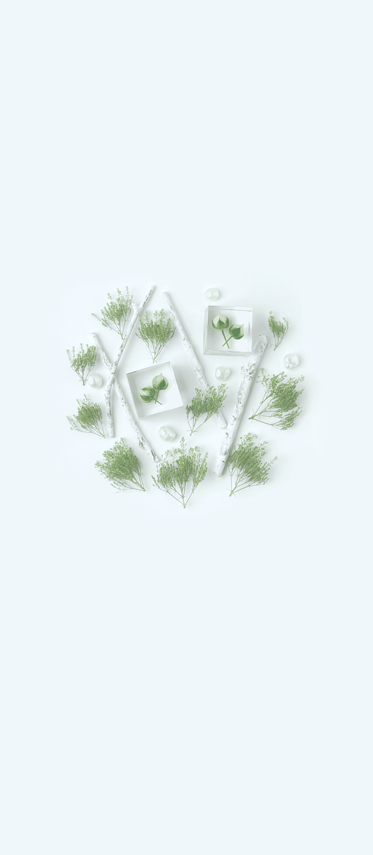 無料ロック画面カレンダー 7月 夕霧草とリンフラワー ミチクサ Photo Jewelry Note
