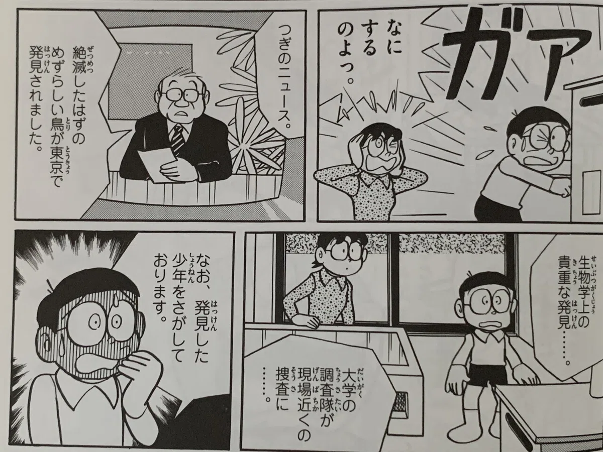 画像5