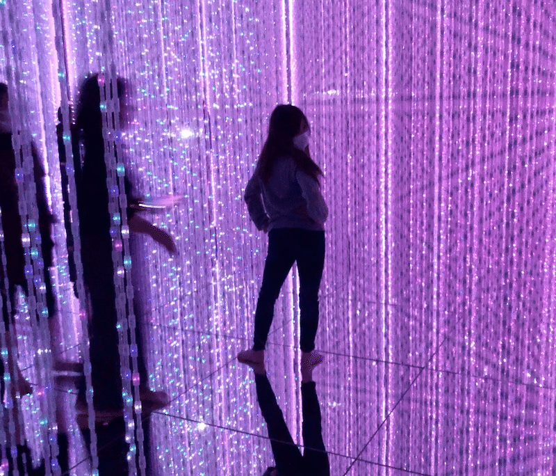 お台場と豊洲の チームラボ オススメはどっち シーン別の楽しみ方をご紹介 三浦誠大 Masahiro Miura Note