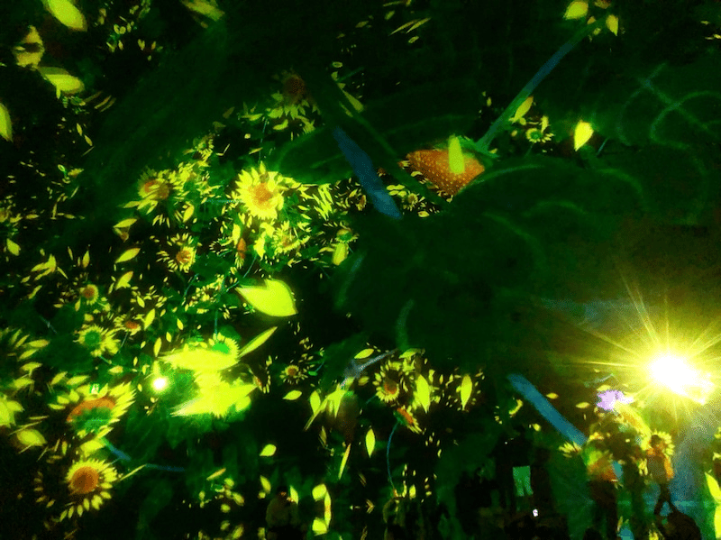 お台場と豊洲の チームラボ オススメはどっち シーン別の楽しみ方をご紹介 三浦誠大 Masahiro Miura Note