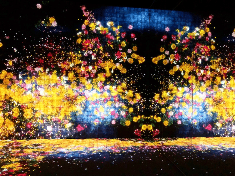 お台場と豊洲の チームラボ オススメはどっち シーン別の楽しみ方をご紹介 三浦誠大 Masahiro Miura Note