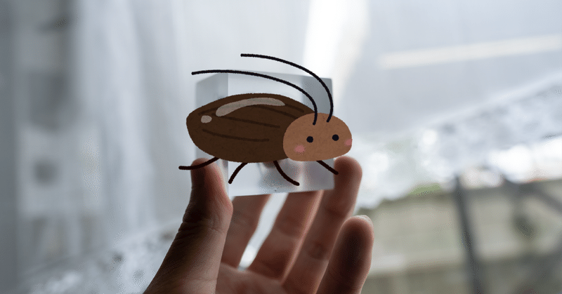 自由研究にゴキブリで標本を作ってみた【閲覧注意】