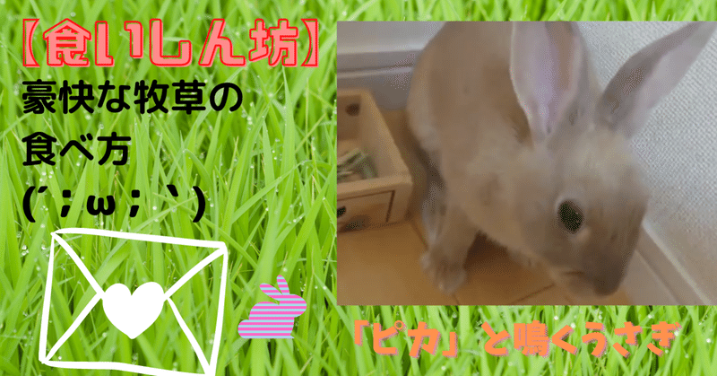 子うさぎ の新着タグ記事一覧 Note つくる つながる とどける 子うさぎ の新着タグ記事一覧 Note つくる つながる とどける