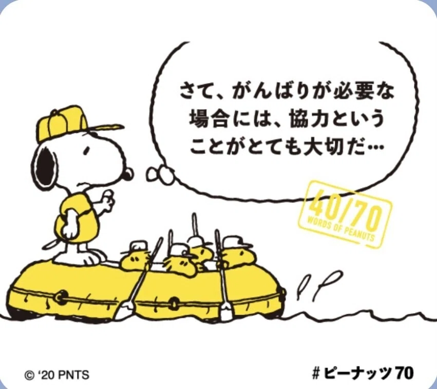 画像11