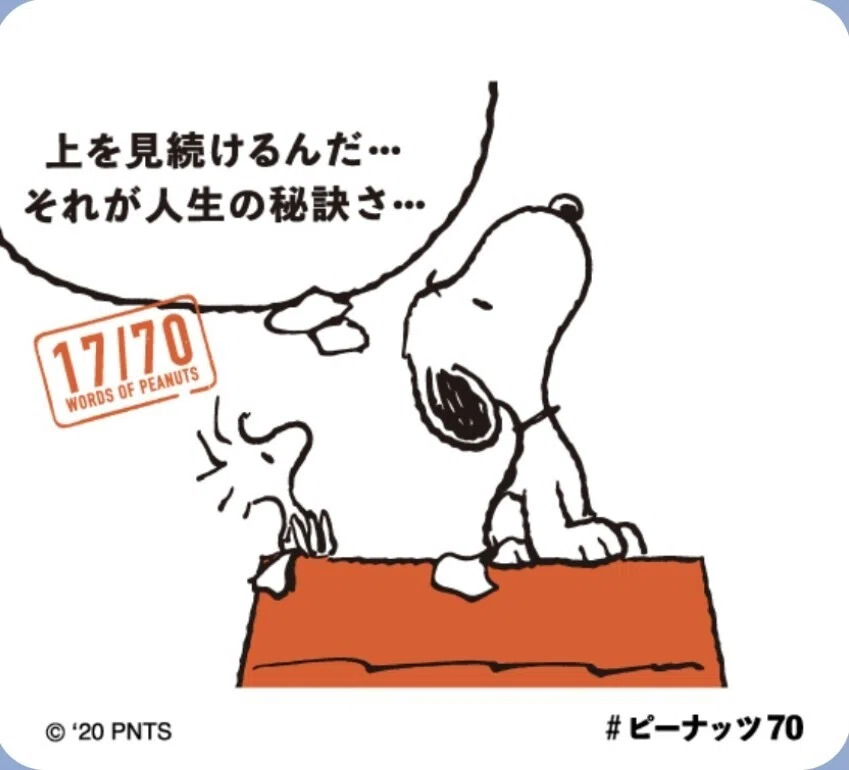 画像15