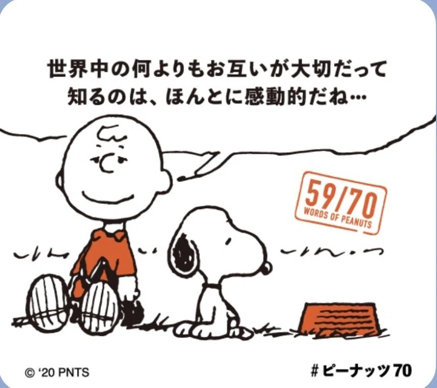 画像17