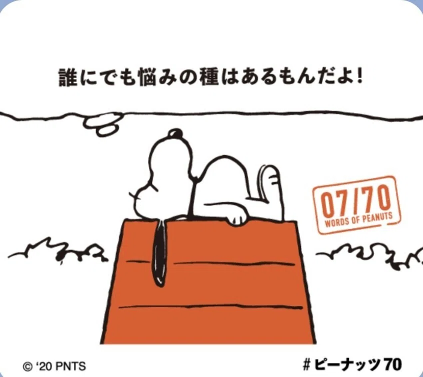 画像19