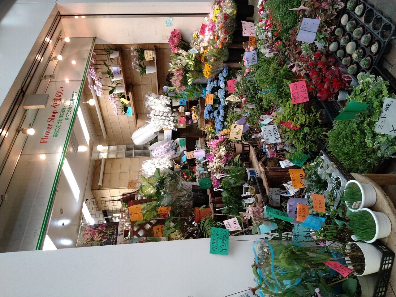 園芸店巡り 神奈川県内にある園芸店 横須賀市 横浜市 ショウちゃんの徒然日記 想ひを寄せて Note