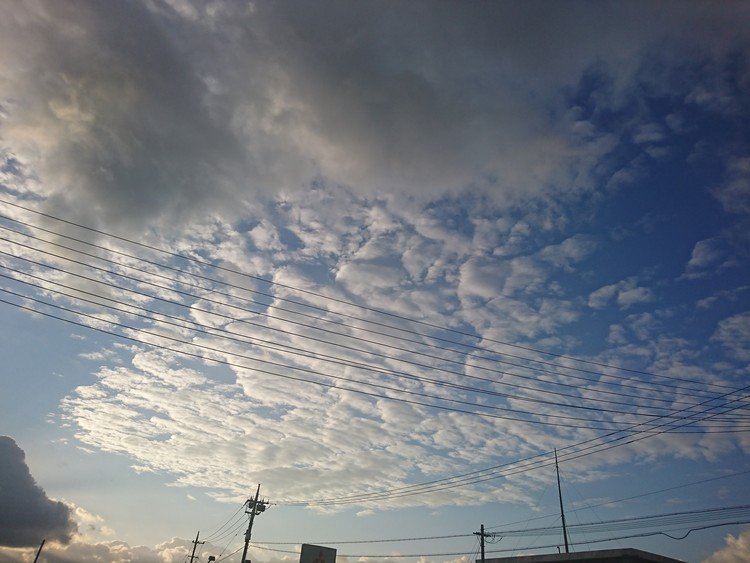 朝のコンビニ前の空。
寒さもひと段落した冬の朝は朝日が眩しい！