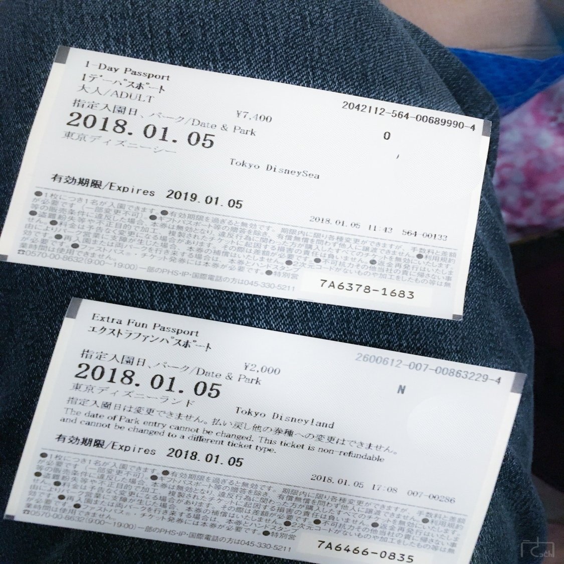 1 2月上旬のディズニーランド シーはオススメ さっとん Jk撮影フォトグラファー Note