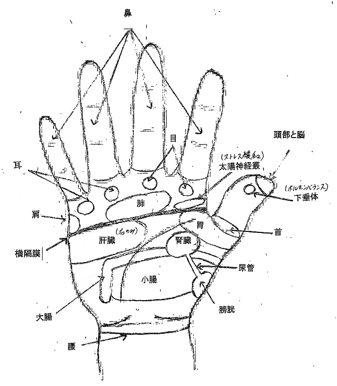 意外と簡単 誰でもできる ハンドリフレクソロジー とは セブンレート 元消防士 Note