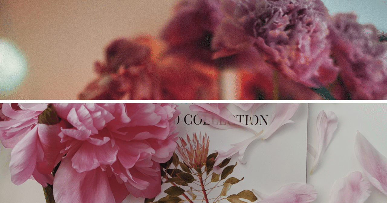 Infjと私 恋愛 𝚖𝚊𝚒𝚊𝚛𝚝𝚏𝚞𝚕𝚓𝚘𝚞𝚛𝚗𝚎𝚢 Note Infjと私 恋愛 𝚖𝚊𝚒𝚊𝚛𝚝𝚏𝚞𝚕𝚓𝚘𝚞𝚛𝚗𝚎𝚢 Note