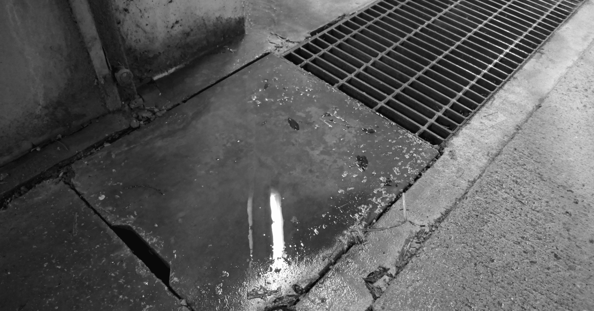 状況 死んでも死にきれない 白tシャツを作りました はる筆線屋 Note 状況 死んでも死にきれない 白tシャツを作りました はる筆線屋 Note