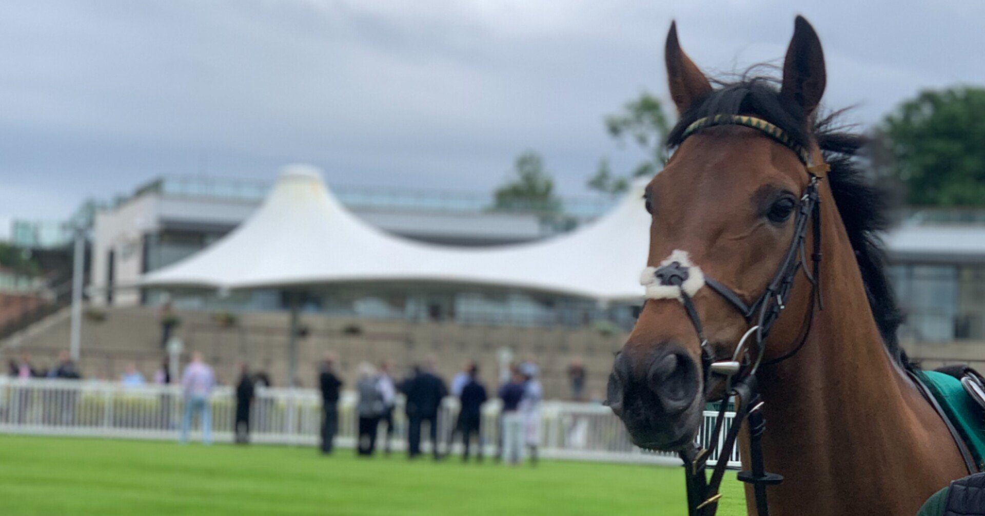 総合評価 競馬場探訪 英 エイントリー競馬場 Aintree Racecourse 小和田 逸平 Note