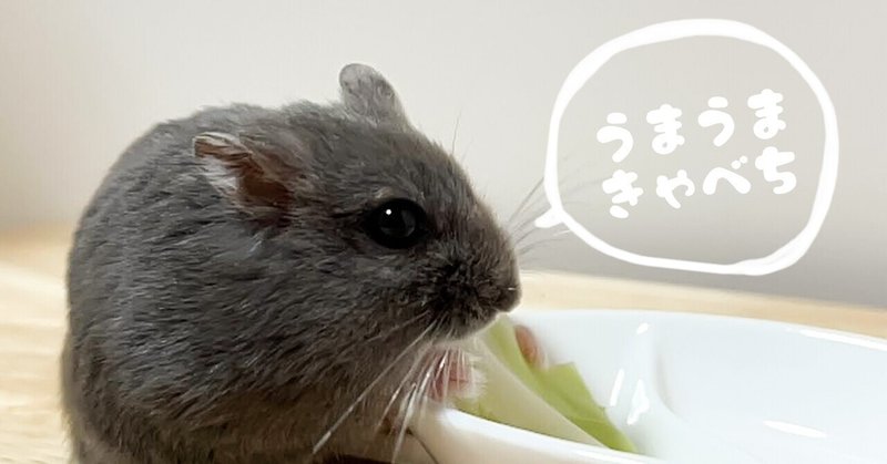 ハムスターのスローモーションうまうまがかわいすぎた 出演 ソラ むぅくんち Note