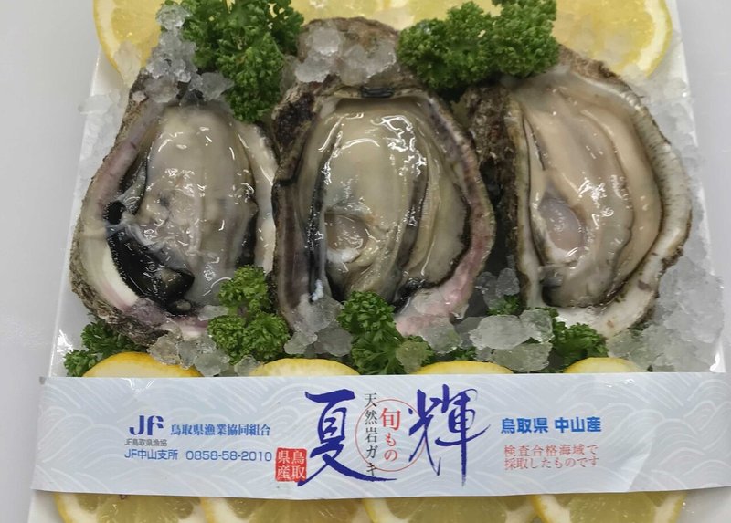 スタッフおすすめの ほんまもん 天然岩ガキ 夏輝 編 Friendfood Kyoto Note スタッフおすすめの ほんまもん 天然岩ガキ 夏輝 編 Friendfood Kyoto Note