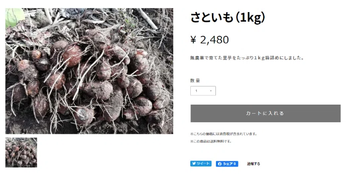 画像3