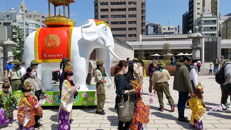 4月8日のお釈迦さまのお誕生日をお祝いする。ちびっこ達が築地本願寺周辺を練り歩くお誕生日会。
#はなまつり
#まつりとりっぷ
#4月
#東京都
https://j-matsuri.com/hanamatsuri/7808/