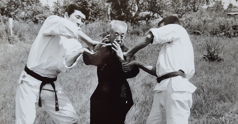 秘伝・合気道 堀川幸道口述 鶴山晃瑞編 20｜juzen