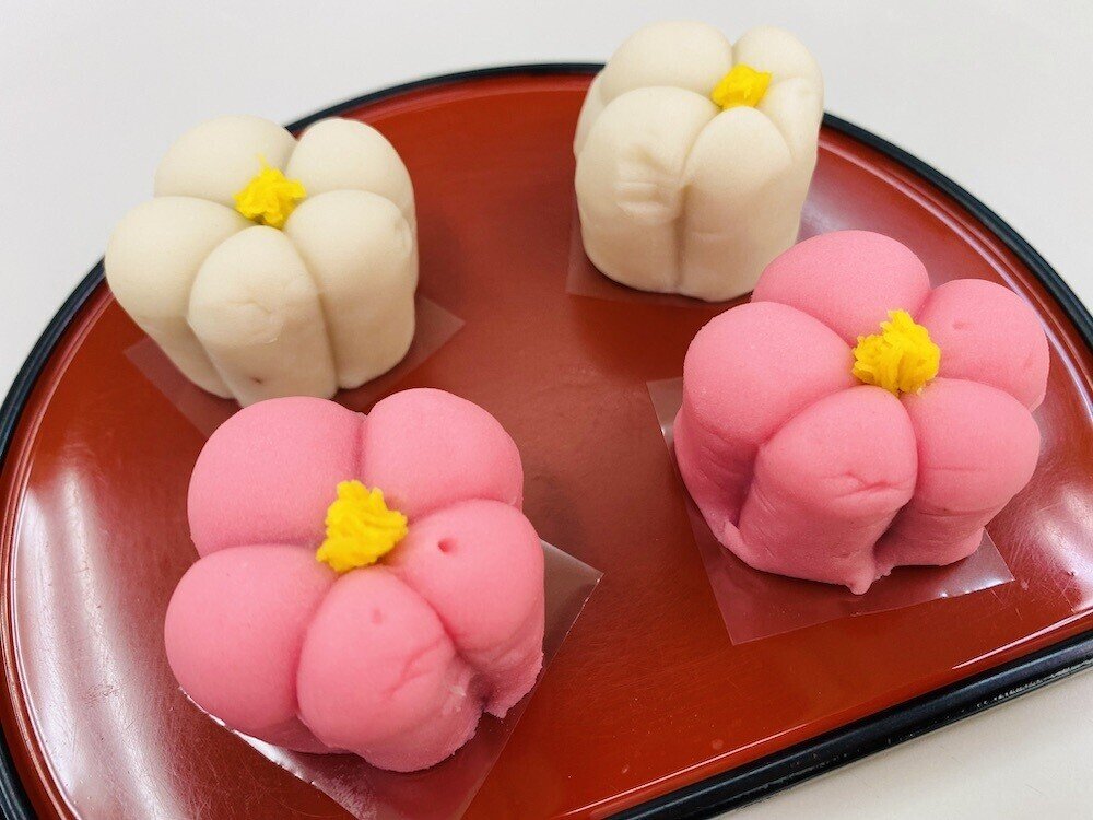 和菓子ベーシック14習ってきた。｜noriowagashi
