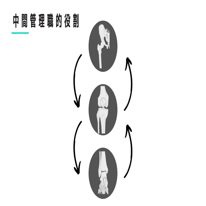 股関節からみた変形性膝関節症｜武田 純一