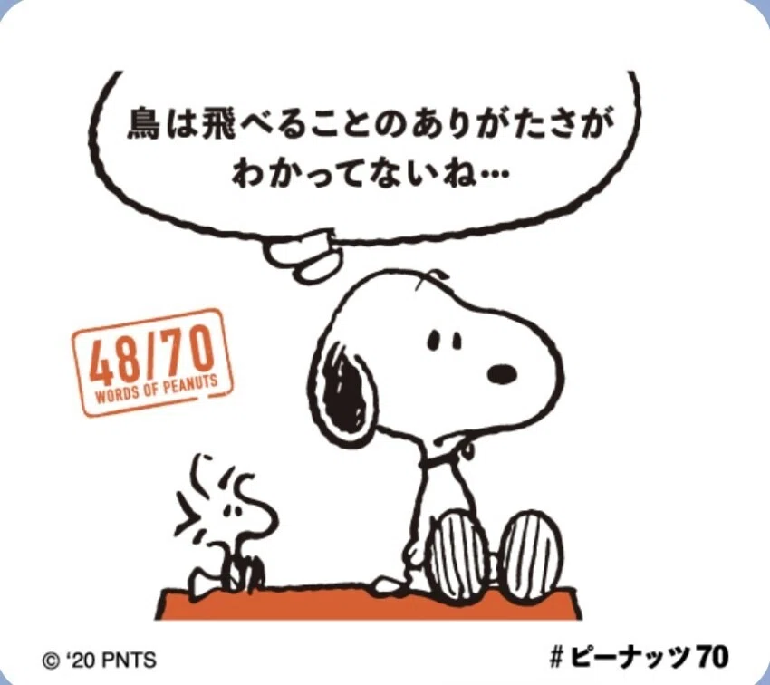 画像38