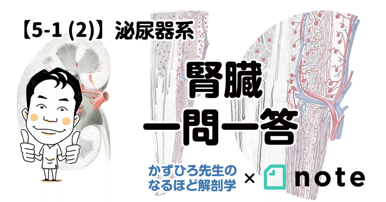 臓器別医師国試問題解説1 2002 /テコム出版事業部/伊東洋