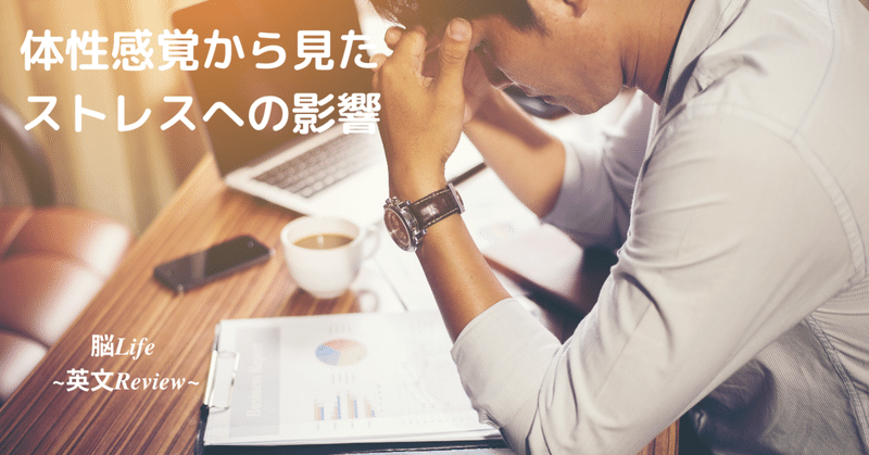 脳科学的にストレスを感じやすい人の特徴 Yuki 22 22 脳領域専門理学療法士 Note 脳科学的にストレスを感じやすい人の特徴 Yuki 22 22 脳領域専門理学療法士 Note