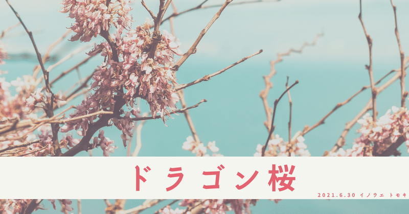 ドラゴン桜