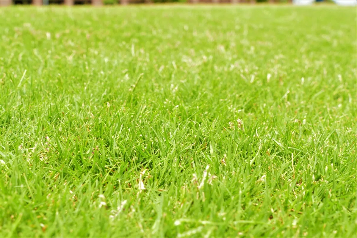 P2920517(調整)
