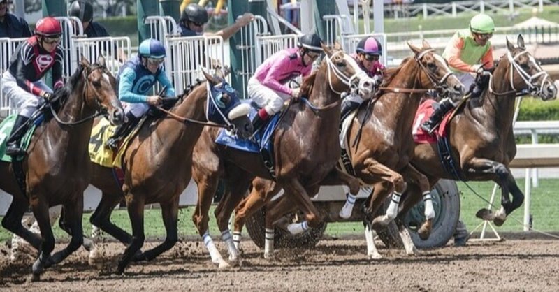 ＜レース回顧＞　【２歳戦限定】　6月27日（日）厳選の2頭