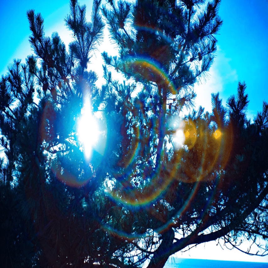 YASHINON DX 50mm f2_(:3 」∠)_｜miyako