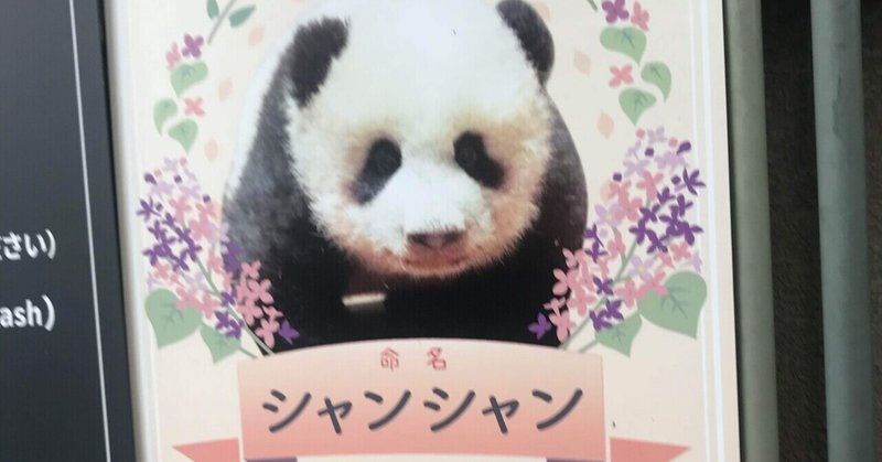 知らない間にパンダの赤ちゃんが産まれていた しかも２頭も Zoe Note
