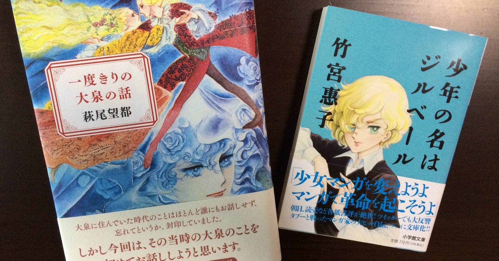 少年の名はジルベール 一度きりの大泉の話 Kikigaki Owl Note