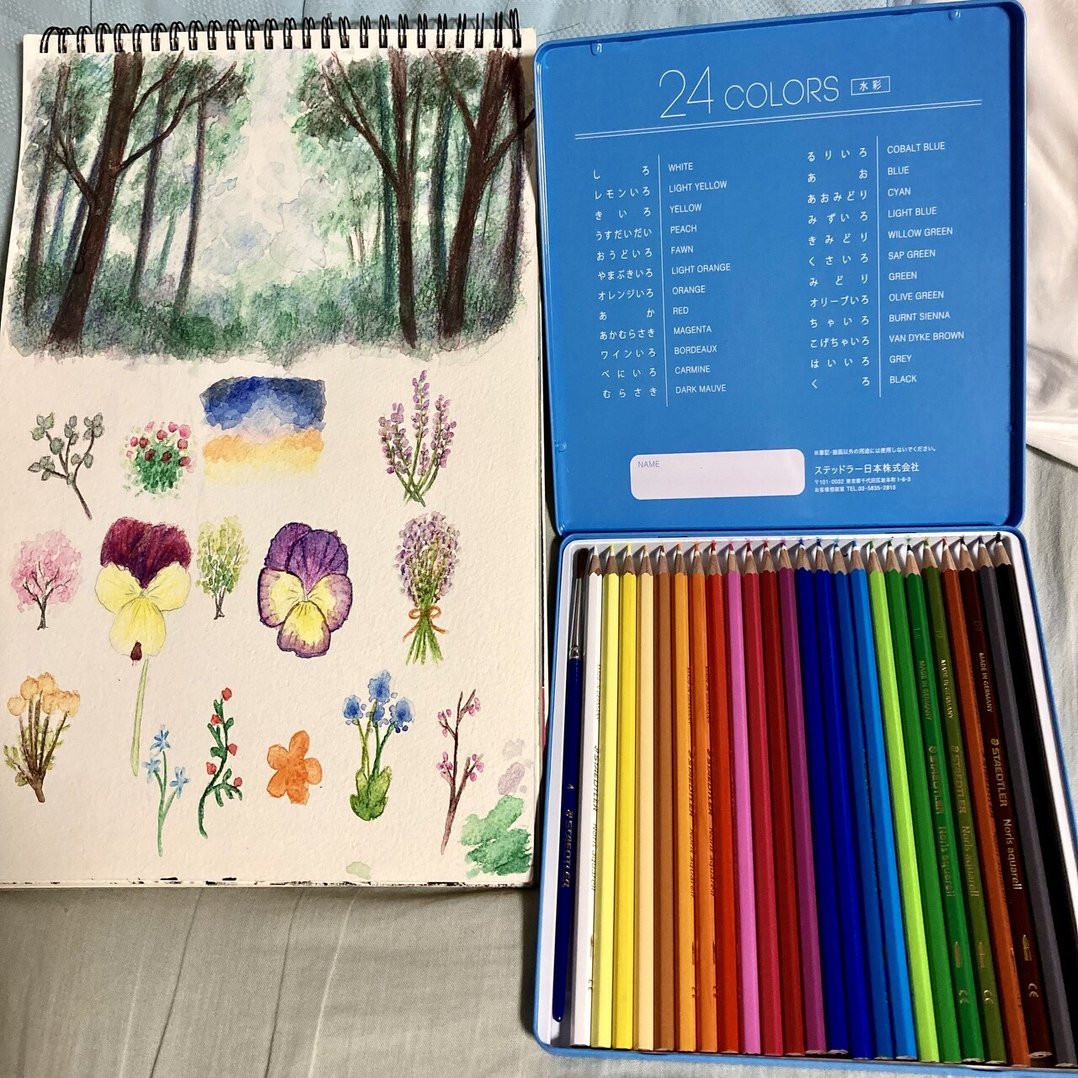 デジタル絵描きが水彩色鉛筆で遊んだ日記｜黒森いばら