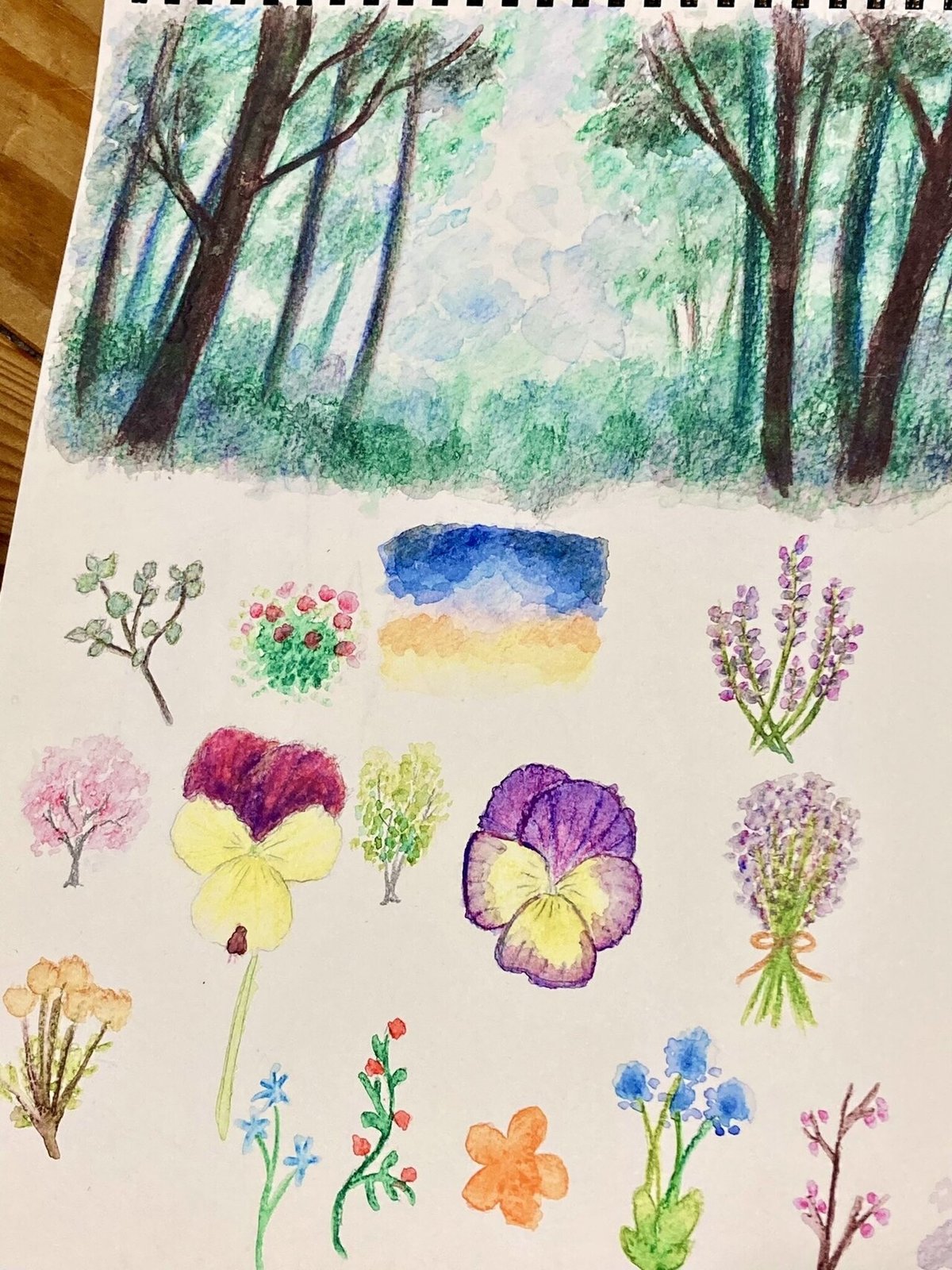 デジタル絵描きが水彩色鉛筆で遊んだ日記｜黒森いばら