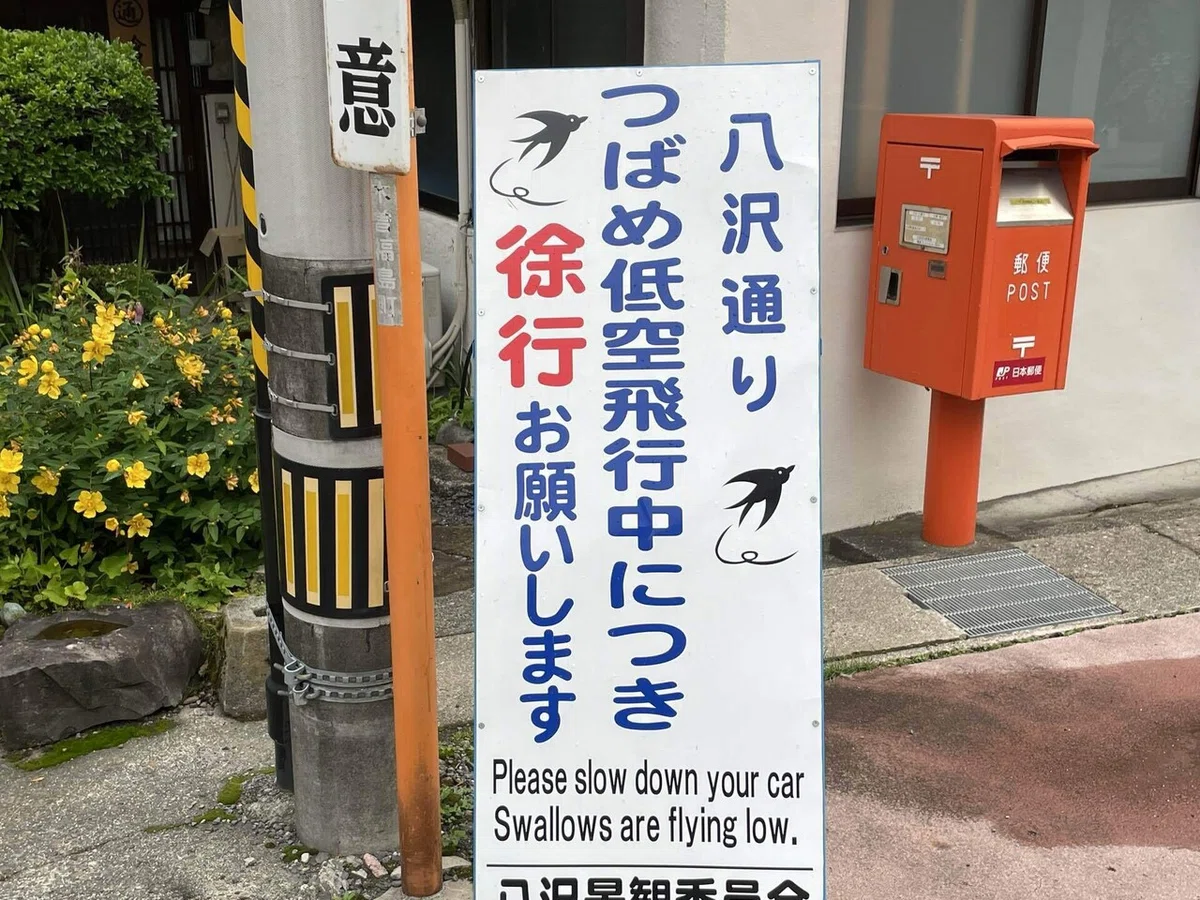 画像13