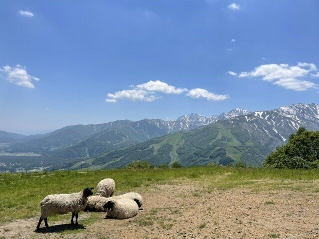 類は友を呼ぶ とは似た者同士が仲良くなるってことだけでなく実は思考にかかわる深い意味 があったよ 英語とスペイン語ではなんという Sacha スペイン語 英語 日本語 Note