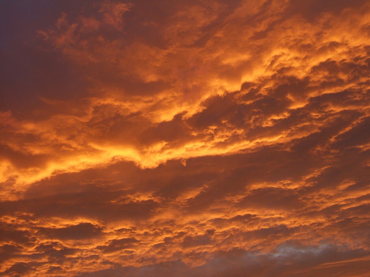 今日の一枚は 映画に出てくるような空 だましなし 自然着色 感無量の雲と空と光 また明日も頑張ろうの空 コンデジで一生懸命に夕焼けを追う ピントが合わない 露出がおかしい 何度も挑戦 そ さすらいみちお Note 今日の一枚は 映画に出てくるような空 だましなし 自然着色 感無量の雲と空と光 また明日も頑張ろうの空 コンデジで一生懸命に夕焼けを追う ピントが合わない 露出がおかしい 何度も挑戦 そ さすらいみちお Note