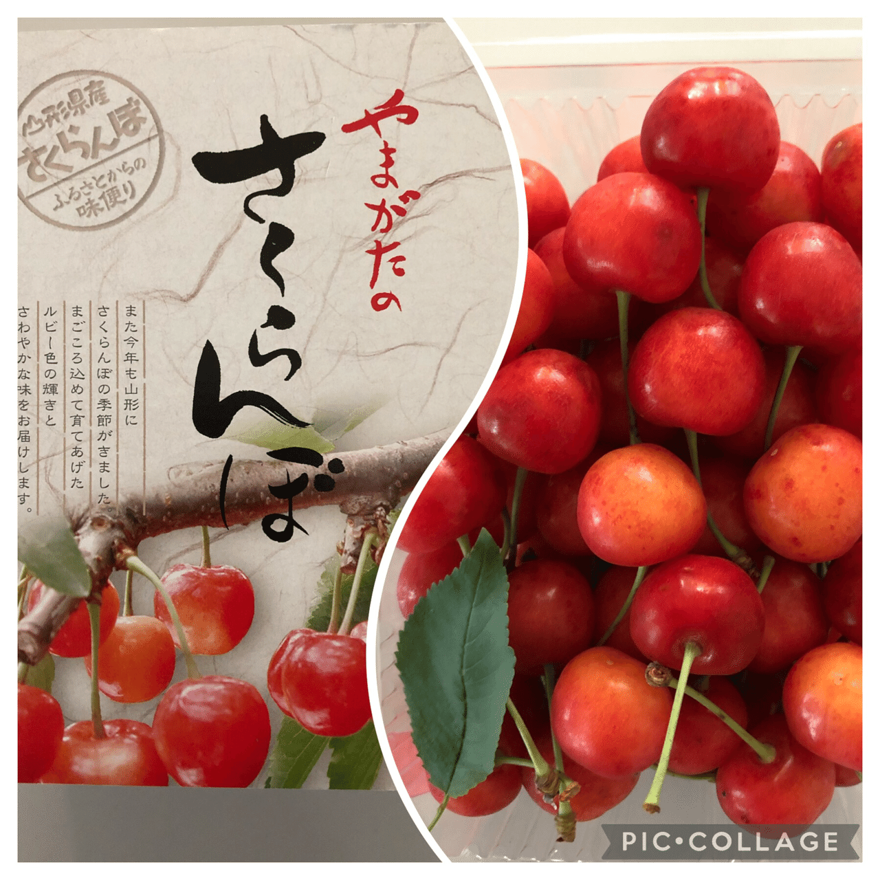 山形県蔵王山のふもとにある果樹園から 今年もまた ルビーの宝石箱を届けていただきました 情死した無頼派作家 太宰治の 桜桃忌 おうとうき は2週間前でした 年がいもなく 真っ赤なチェリーリップに触 でんしゅう 占い鑑定とコーチングの相乗効果で 開運