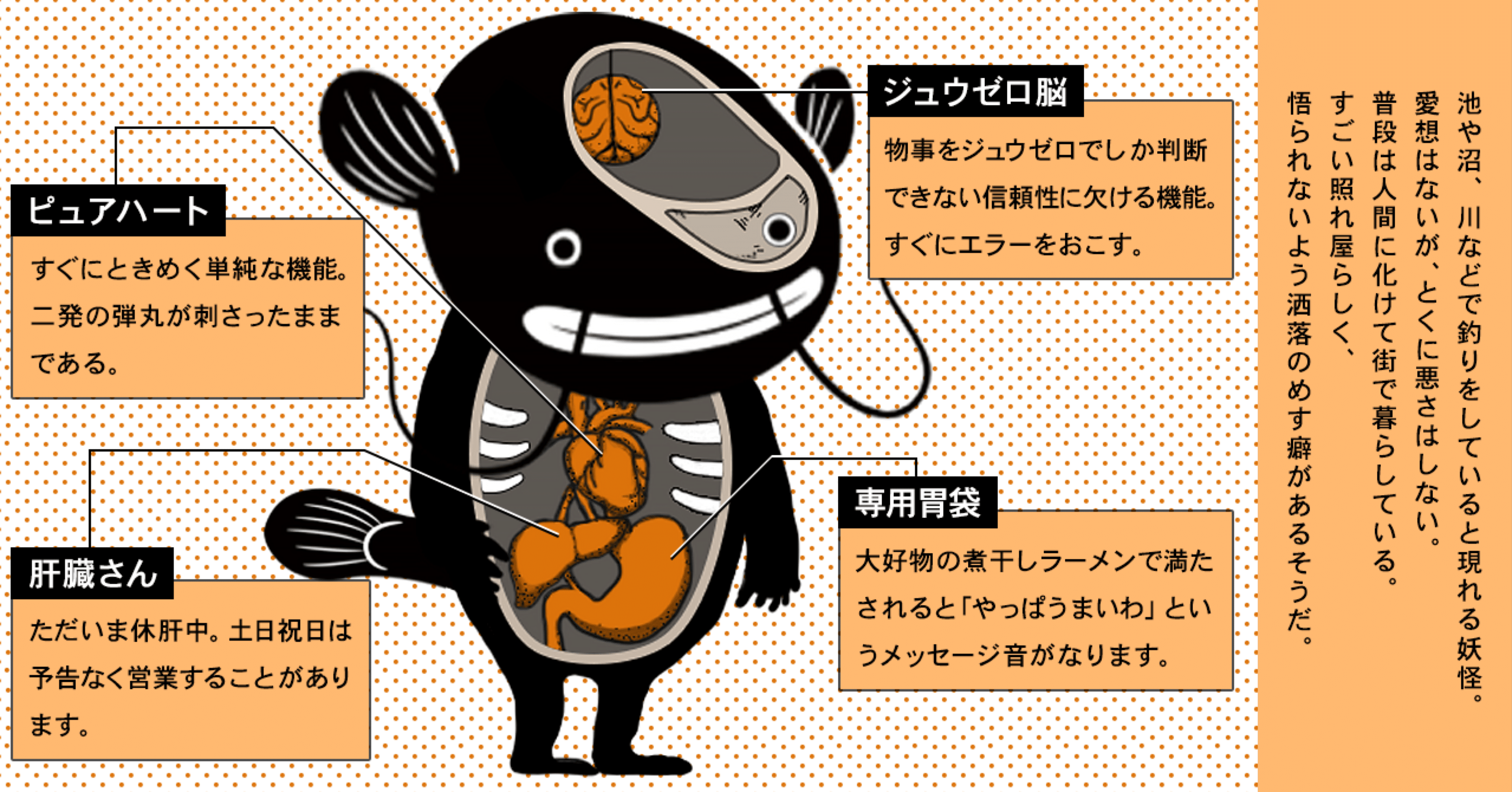 最愛 いけま様専用ページ - アイドル