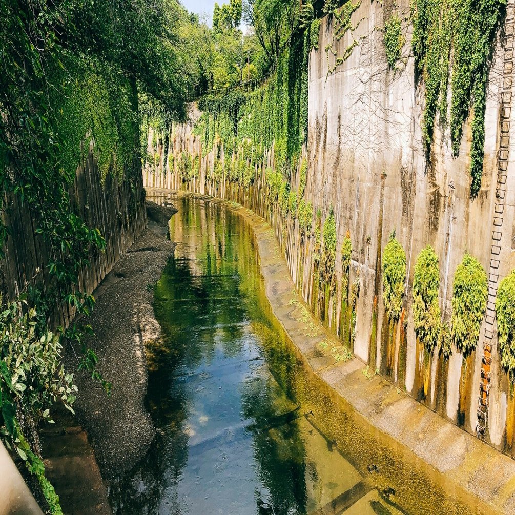 高校生古文 動詞の活用表とテスト とある塾講師 Note